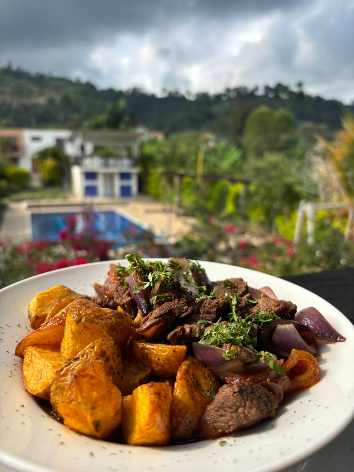 WhatsApp Image 2026-02-12 at 5.33.17 PM