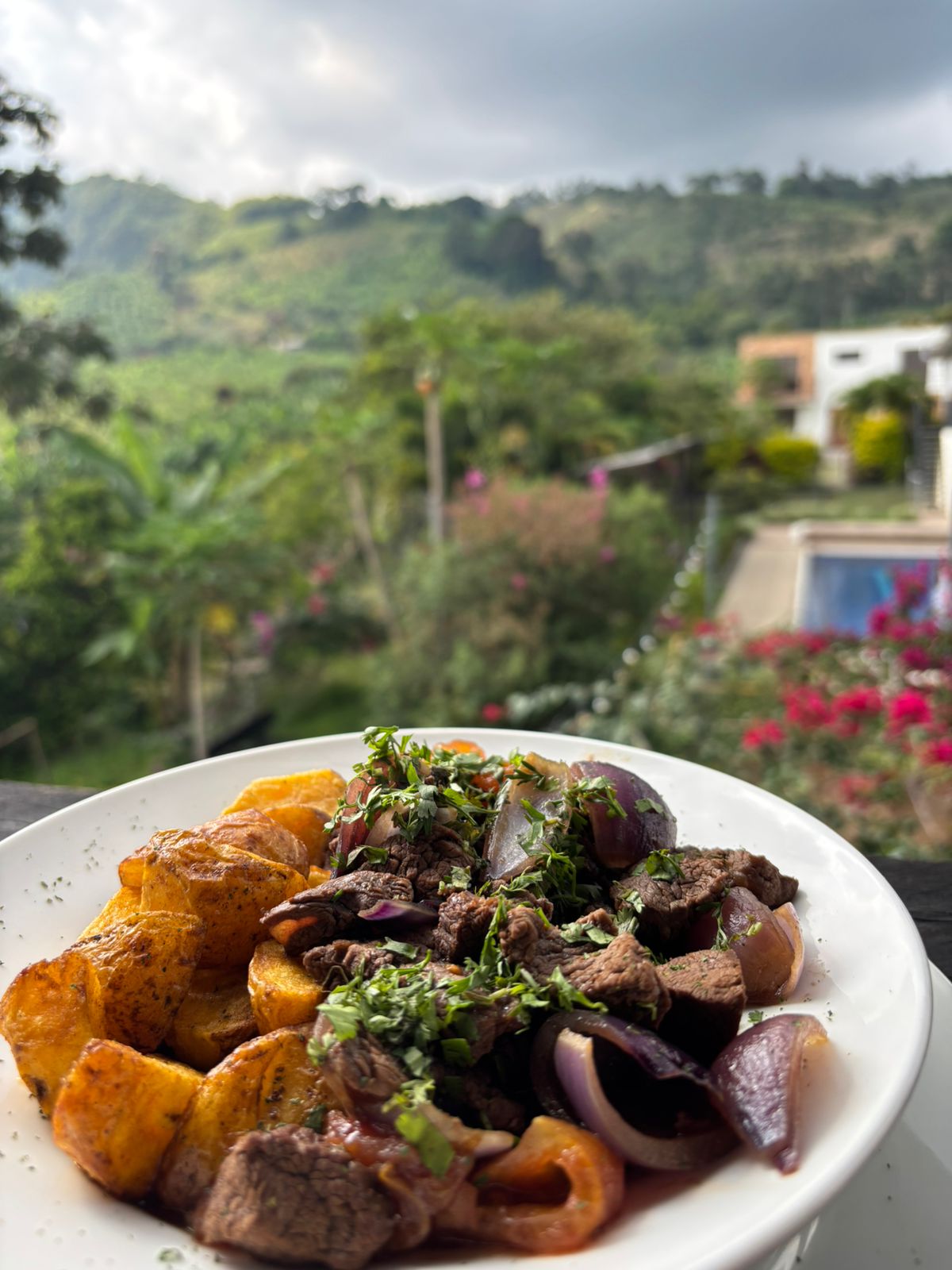 WhatsApp Image 2026-02-12 at 5.33.19 PM